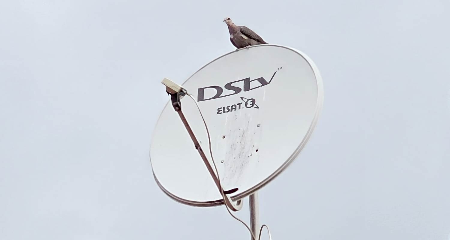 Close-up of a DStv satellite dish and LNB mounted on a wall